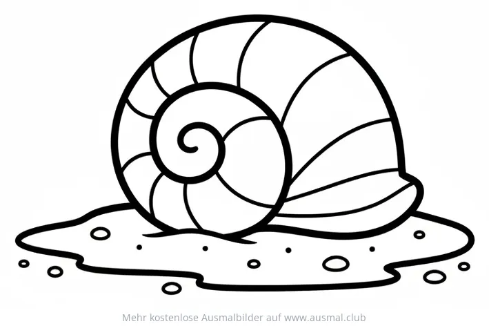 Muschel Ausmalbild auf Sand