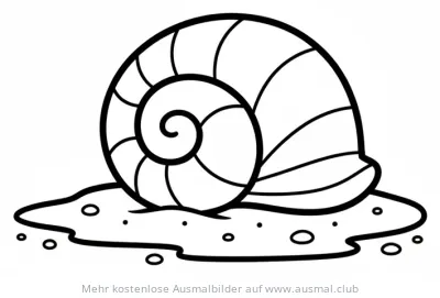 Muschel Ausmalbild auf Sand
