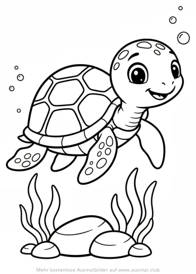 Freundliche Meeresschildkröte schwimmt zwischen Wasserpflanzen und Steinen Ausmalbild