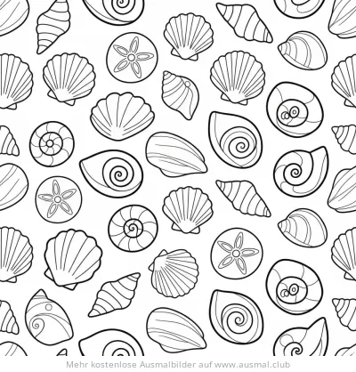 Muschelmuster Ausmalbild mit verschiedenen Muschelarten und Seesternen