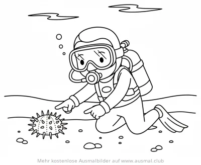 Taucher zeigt auf Seeigel Ausmalbild