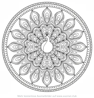 Pfau Mandala Ausmalbild