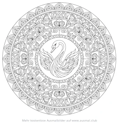 Schwan Mandala Ausmalbild