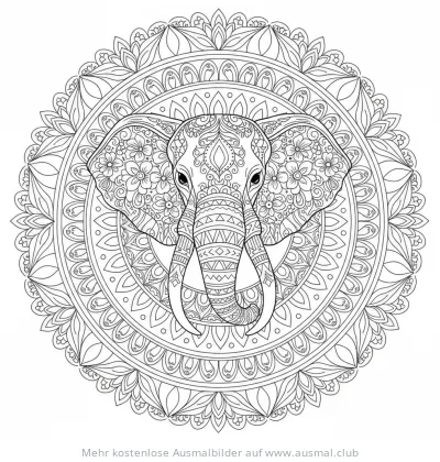 Elefant Mandala Ausmalbild