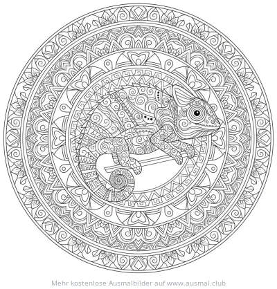 Chamäleon auf Ast in Mandala Ausmalbild