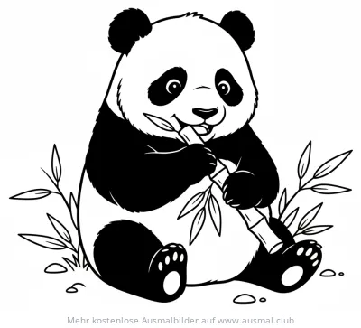 Pandababy frisst Bambus, Ausmalbild