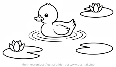 Entenküken schwimmt auf dem Wasser, umgeben von Seerosen, Ausmalbild