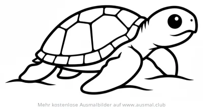 Schildkrötenbaby Ausmalbild mit detailliertem Panzer