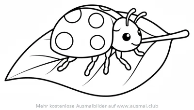 Marienkäferbaby auf einem Blatt Ausmalbild