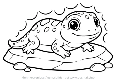 Echsenbaby liegt auf Felsen Ausmalbild