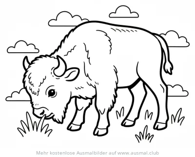 Bisonbaby Ausmalbild beim Grasen