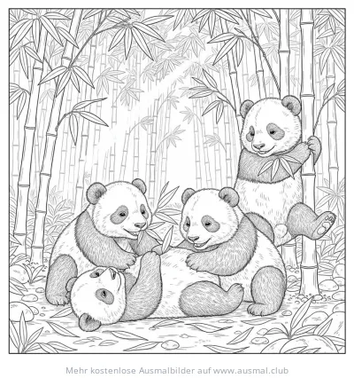 Vier Panda Babys spielen im Bambuswald Ausmalbild