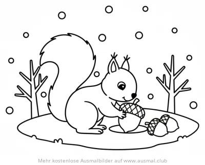 Eichhörnchen mit Nüssen im Schnee Ausmalbild