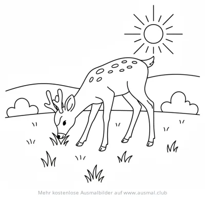 Reh auf Wiese Ausmalbild