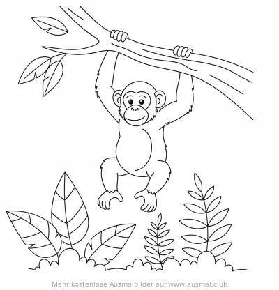 Schimpanse hängt an Ast im Regenwald Ausmalbild