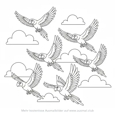 Fliegende Papageien zwischen Wolken Ausmalbild