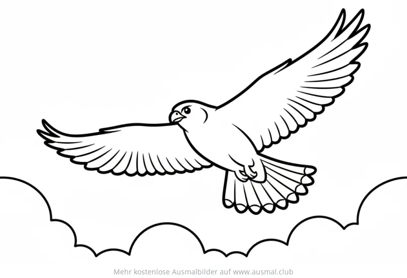 Falke im Flug Ausmalbild