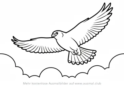 Falke im Flug Ausmalbild