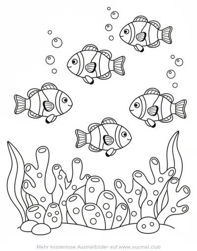 Clownfische im Riff Ausmalbild