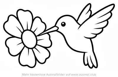 Kolibri an Blüte Ausmalbild
