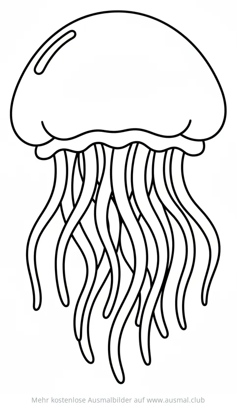Qualle Ausmalbild