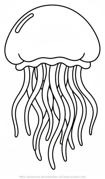 Qualle Ausmalbild