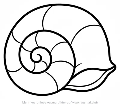 Muschel Ausmalbild mit spiralförmigem Muster