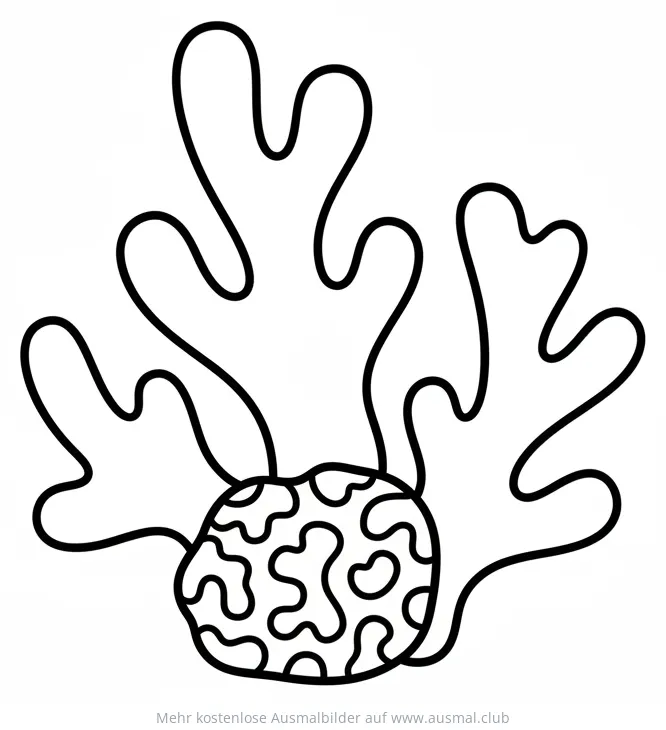 Koralle Ausmalbild