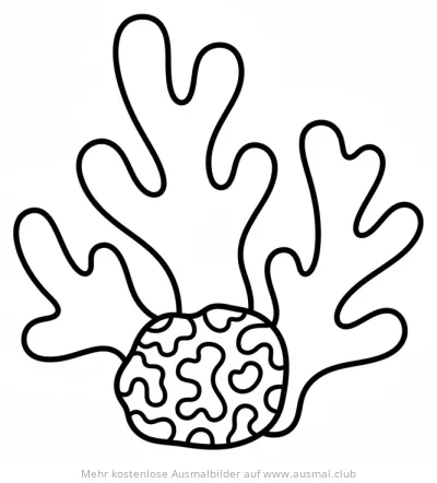 Koralle Ausmalbild