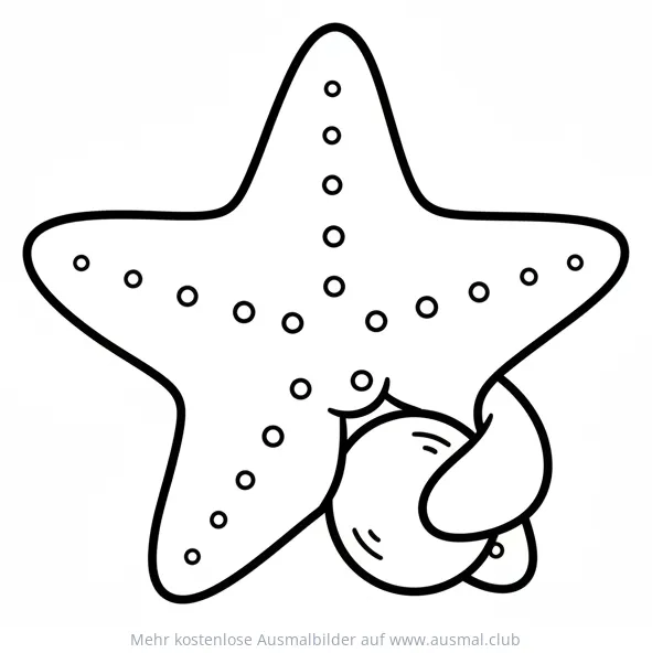 Seestern frisst Muschel Ausmalbild