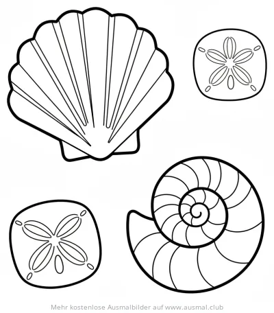 Muscheln und Seeigel-Skelette Ausmalbild