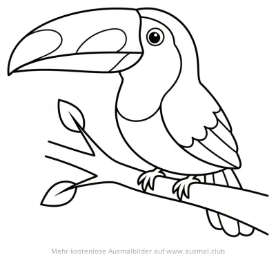 Tukan Ausmalbild auf einem Ast