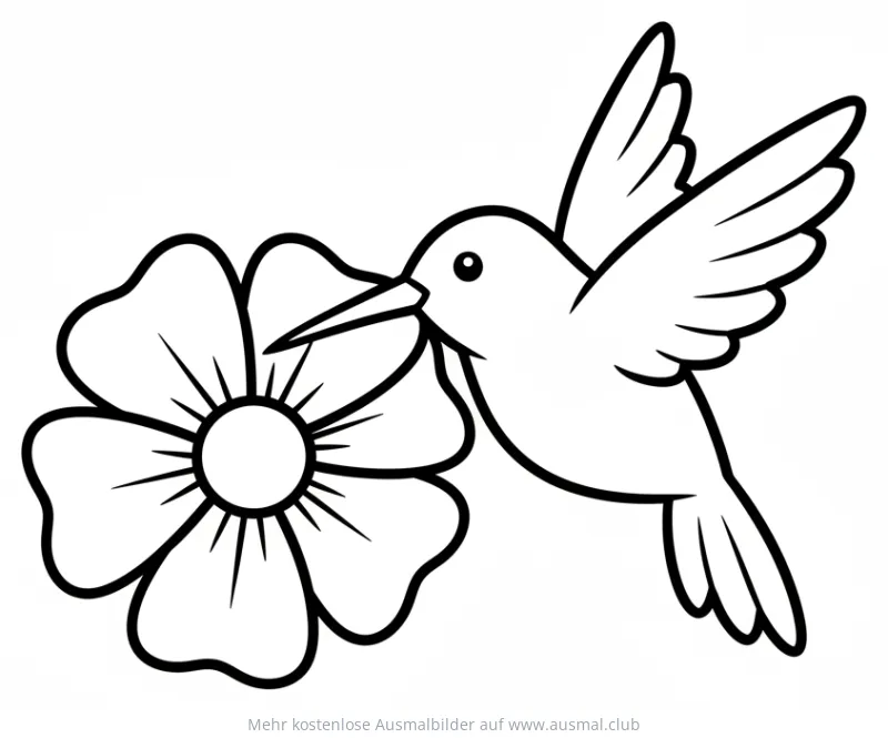 Kolibri trinkt Nektar aus Blüte Ausmalbild