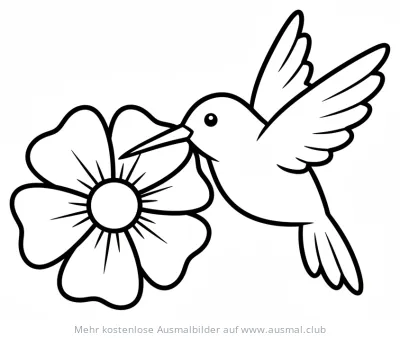 Kolibri trinkt Nektar aus Blüte Ausmalbild