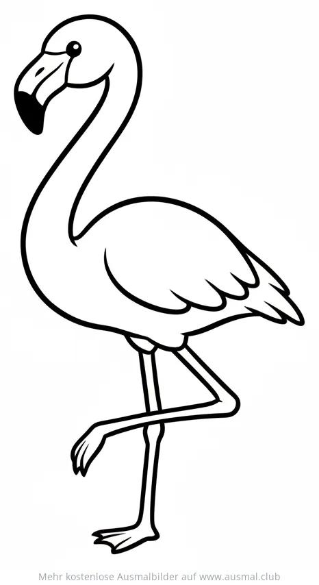 Flamingo Ausmalbild steht auf einem Bein