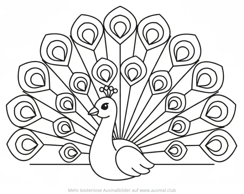 Pfau Ausmalbild mit geöffnetem Federkleid