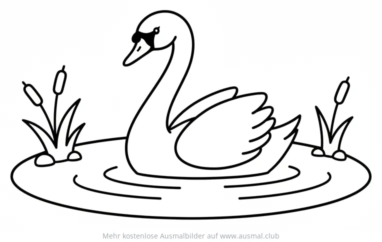 Schwan Ausmalbild im See mit Schilf