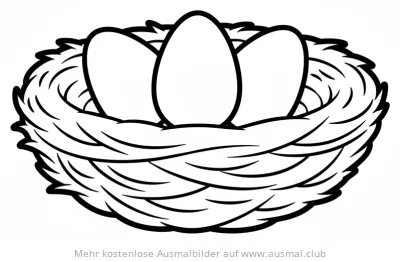 Vogelnest Ausmalbild mit drei Eiern