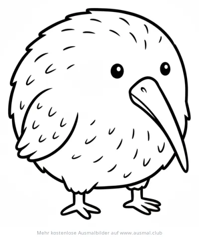 Kiwi Vogel Ausmalbild