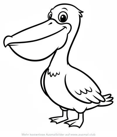 Pelikan Ausmalbild mit großem Schnabel
