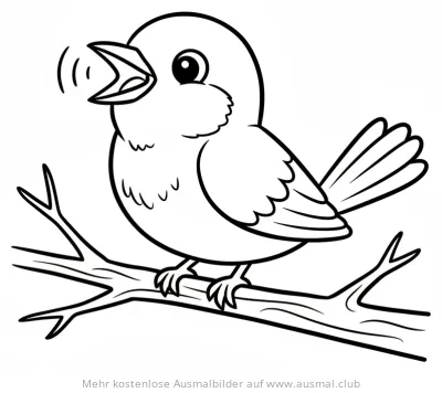 Spottdrossel auf einem Ast Ausmalbild