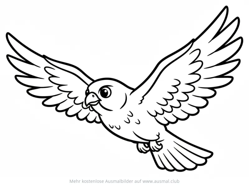 Falke Ausmalbild mit ausgebreiteten Flügeln