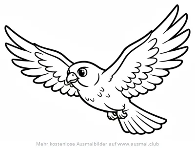 Falke Ausmalbild mit ausgebreiteten Flügeln