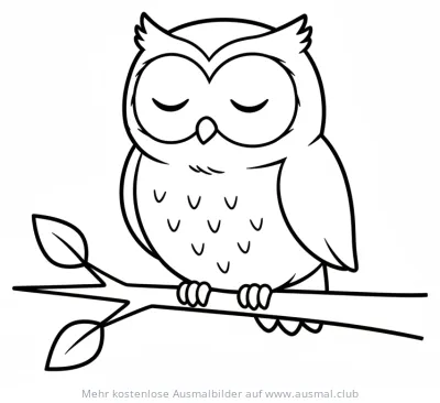 Schlafende Eule auf Ast Ausmalbild