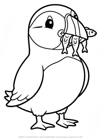 Papageitaucher mit Fischen im Schnabel Ausmalbild