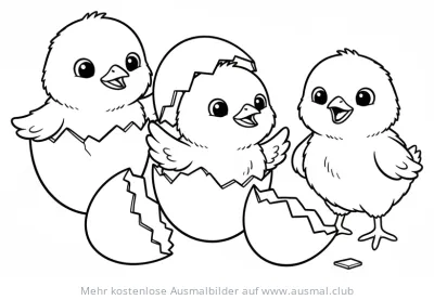 Drei Küken beim Schlüpfen Ausmalbild