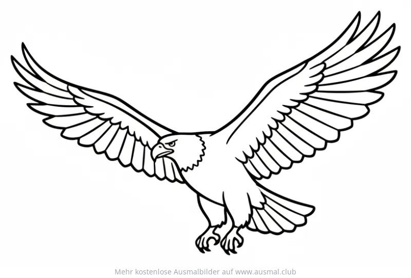 Adler Ausmalbild mit ausgebreiteten Flügeln
