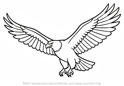 Adler Ausmalbild mit ausgebreiteten Flügeln