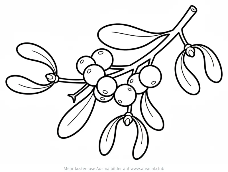 Mistelzweig Ausmalbild mit Blättern und Beeren