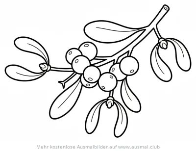 Mistelzweig Ausmalbild mit Blättern und Beeren